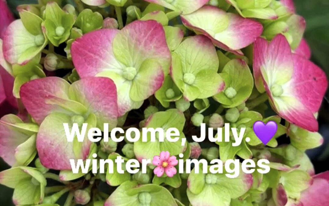 Welcome, July-